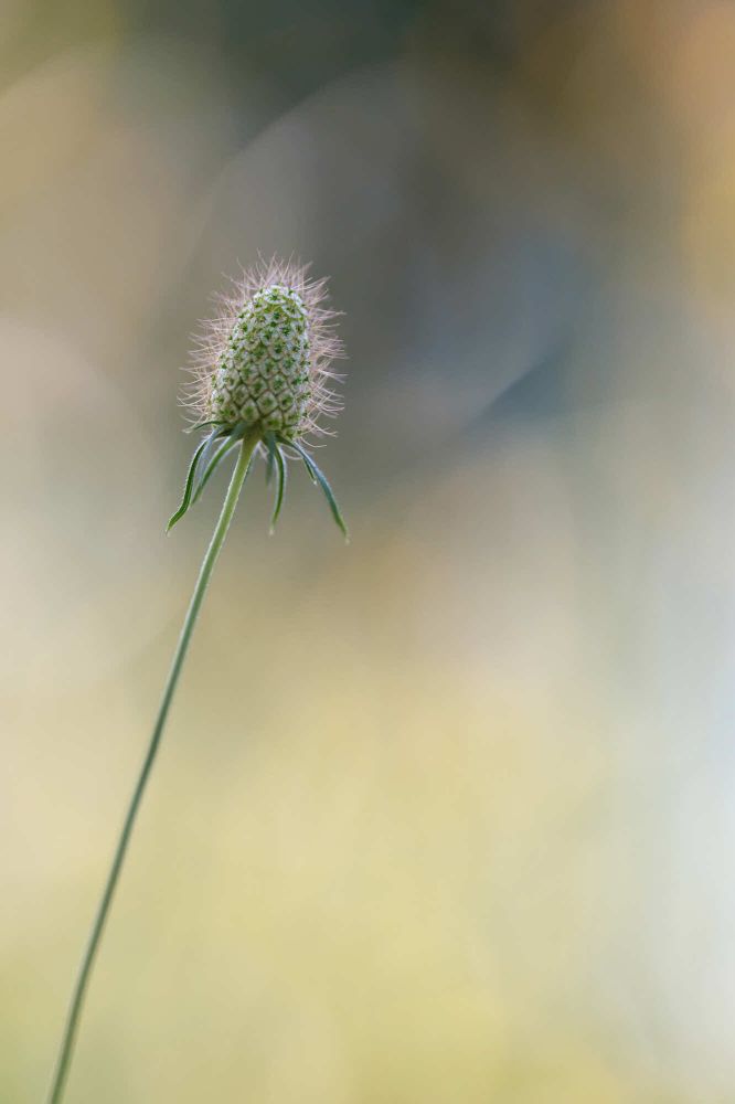 06 Rang 106 Schaufelberger Gaby